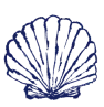 Изображение ракушки
