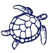Морская черепаха