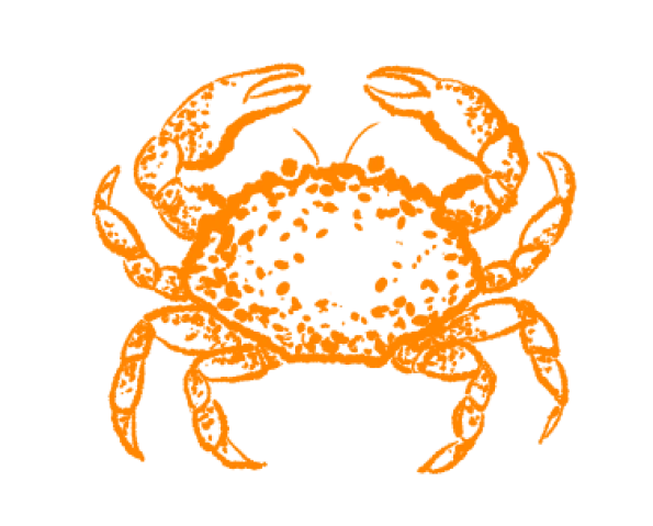 Морской краб