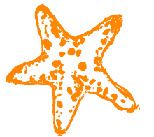 Морская звезда большая